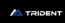         Trident Software