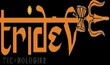 Tridev Technologies