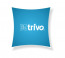 Trivo IT Solution