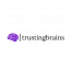 Trusting Brains IT Services Pvt. Ltd