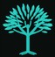 Turquoise Tree Studio
