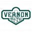 Vernon Court Reporters
