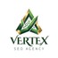 Vertex SEO Agency