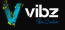 Vibz Creative Agency
