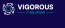 Vigorous IT Solutions 