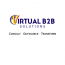 Virtual B2B Solutions