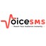 Voice SMS