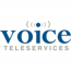 Voice Teleservices