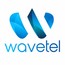 wavetell busniess