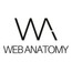 Web Anatomy