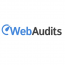Web Audits