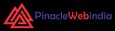Web Design Company in Vashi - Pinacle Web India