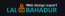 Web design Expert 