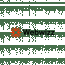 Web Wizz