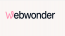 Web Wonder