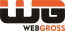 Webgross Solutions Pvt Ltd