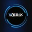 Webix Infotech India Private Limited