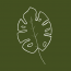 Webjungle.ch