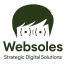 Websoles Strategic Digital Solutions