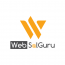WebSolGuru