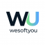 WeSoftYou LLC