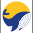 Whale Group