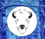 White Buffalo Marketing