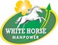 White Horse Manpower Consultancy Private limited