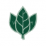 Wildmint Media