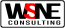 WSNE Consulting