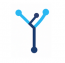 Yaana Consulting Services