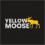 Yellow Moose Ltd
