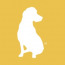 YellowDog