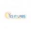 YES IT Labs LLC