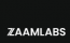 zaamlabs