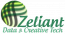 Zeliant DataTech