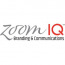 Zoom IQ
