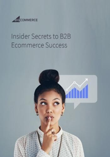 Insider Secrets to B2B Ecommerce Success