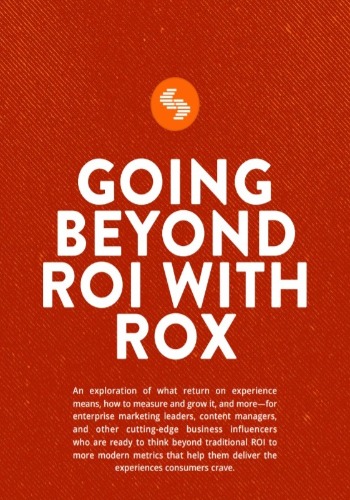 Going Beyond ROI with Return on Experience (ROX)