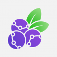 AccountBerry