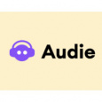 Auidie AI
