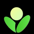 Betula Assistant