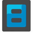 Board Director