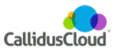 CallidusCloud