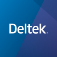 Deltek Vision