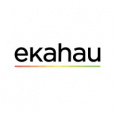 Ekahau Connect