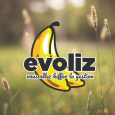 Evoliz