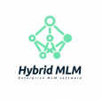 Hybrid MLM