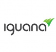 Iguana