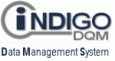 Indigo DQM